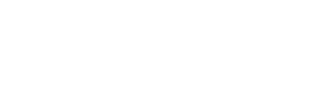 Vital Voice Logo